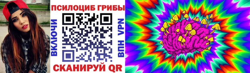 наркотики hydra ссылка Псилоцибиновые грибы Psilocybe Чита